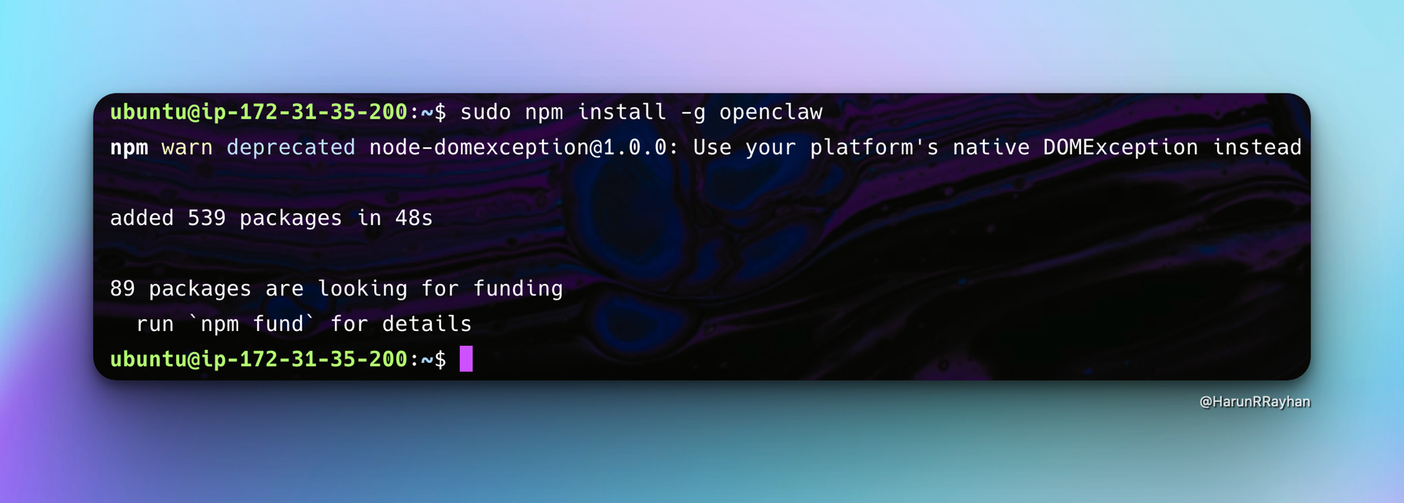 OpenClaw npm install output