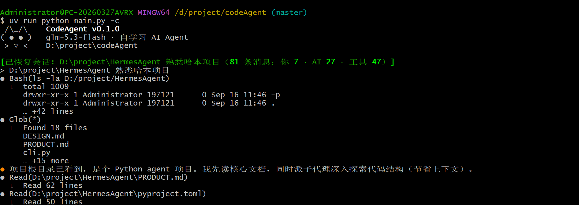 运行中的 CodeAgent
