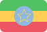 Ethiopian birr