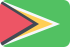 Guyanese dollar