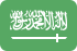 Saudi riyal
