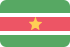 Surinamese dollar