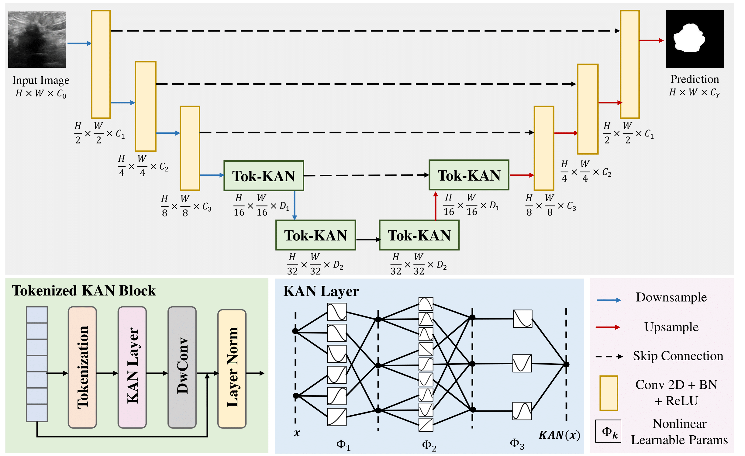 UKAN overview