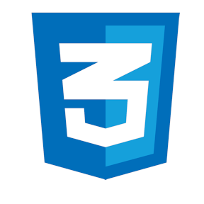 css3