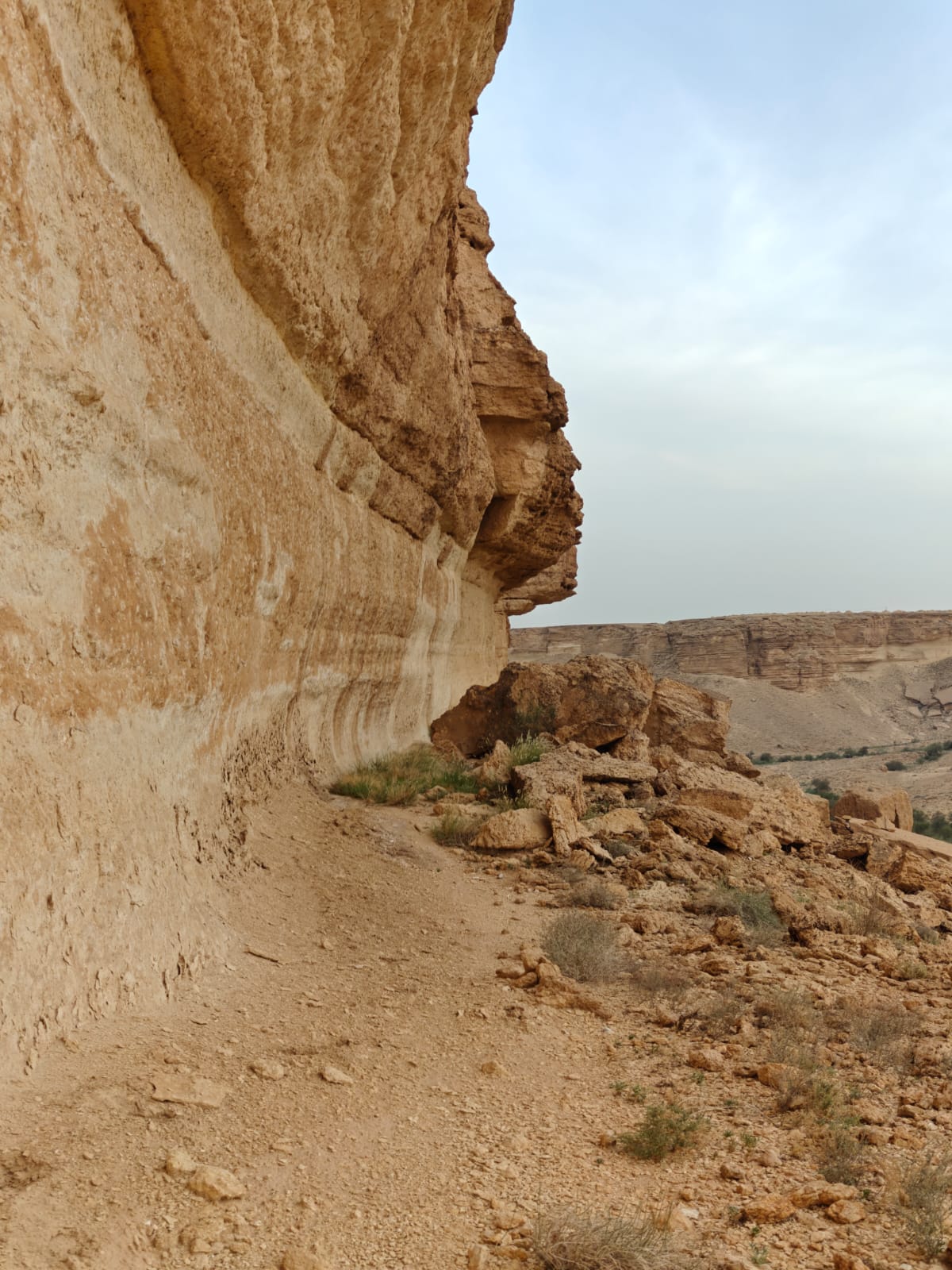 Fossil location