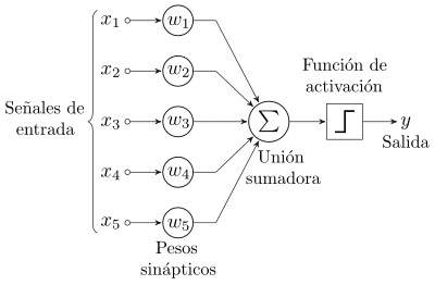 "Perceptron_5_unidades url:.images/Perceptron_5_unidades.png"