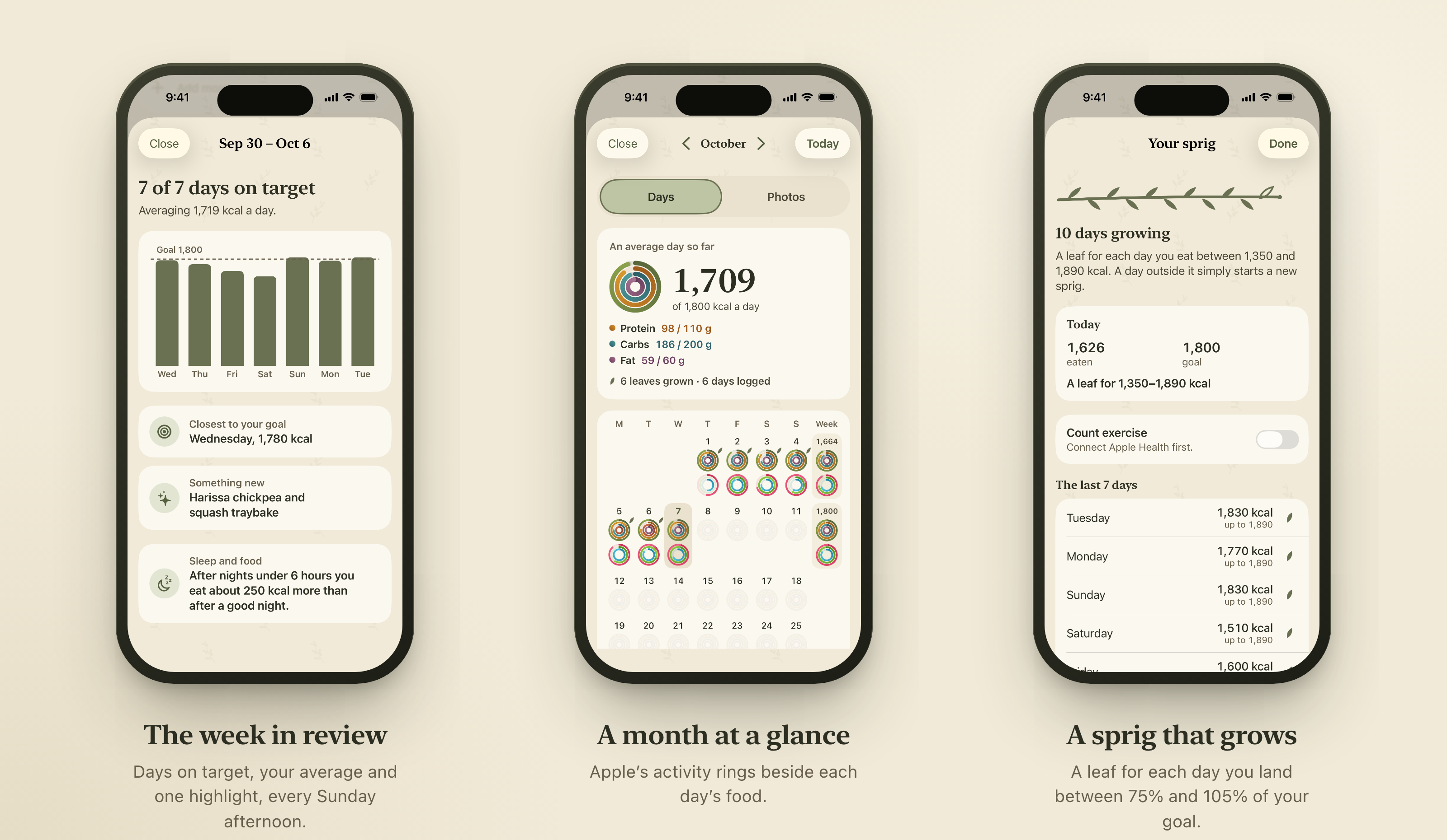 Looking back: the week in review, a month calendar with activity rings, and the streak sprig