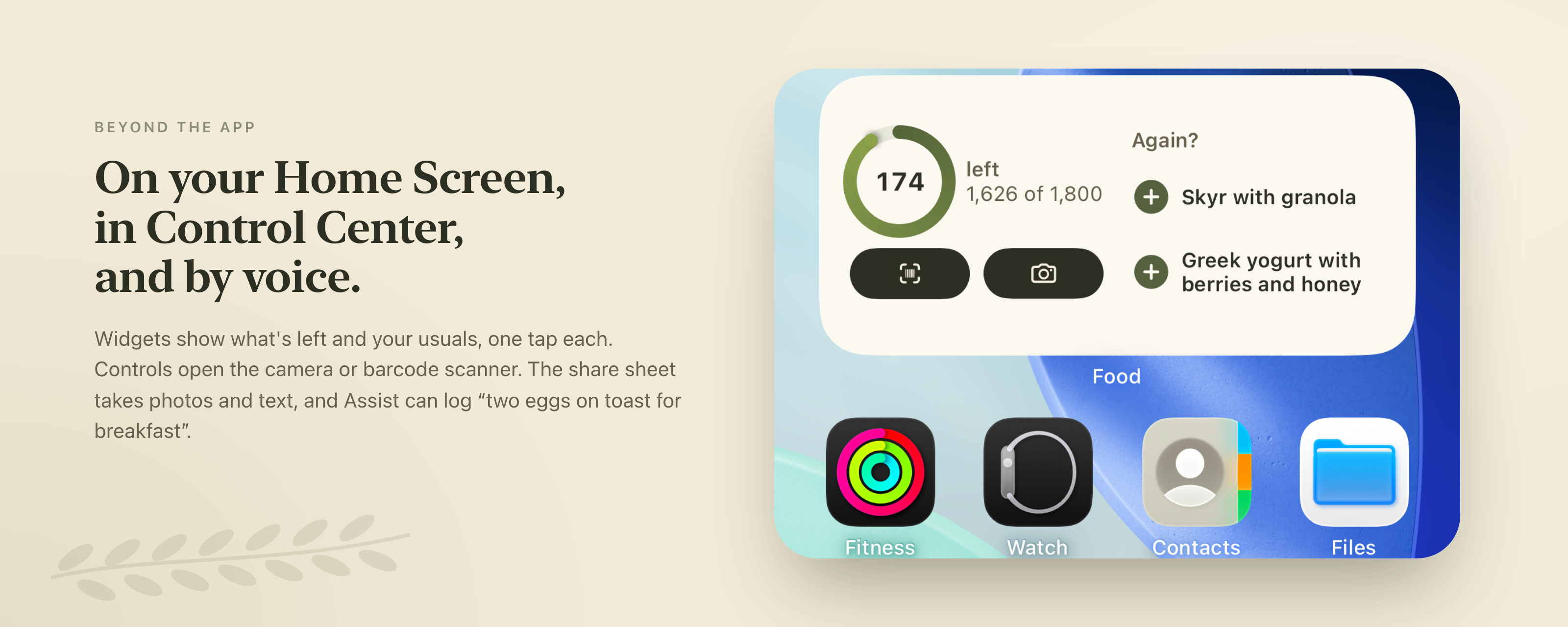 The Home Screen widget with calories left and one-tap usuals