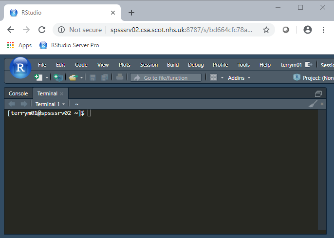 Blank terminal prompt in RStudio Server Pro
