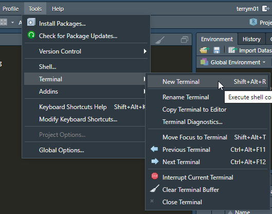 Menu selection to open a new terminal in RStudio Server Pro