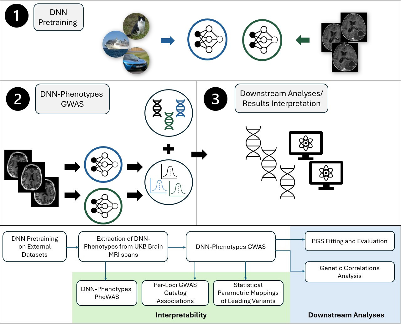 Overview of the project