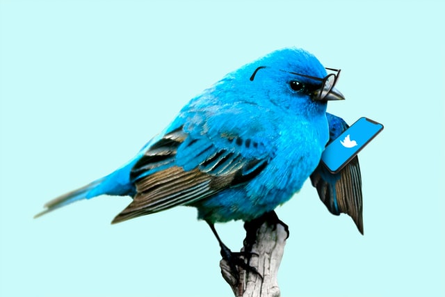 TwitterBird