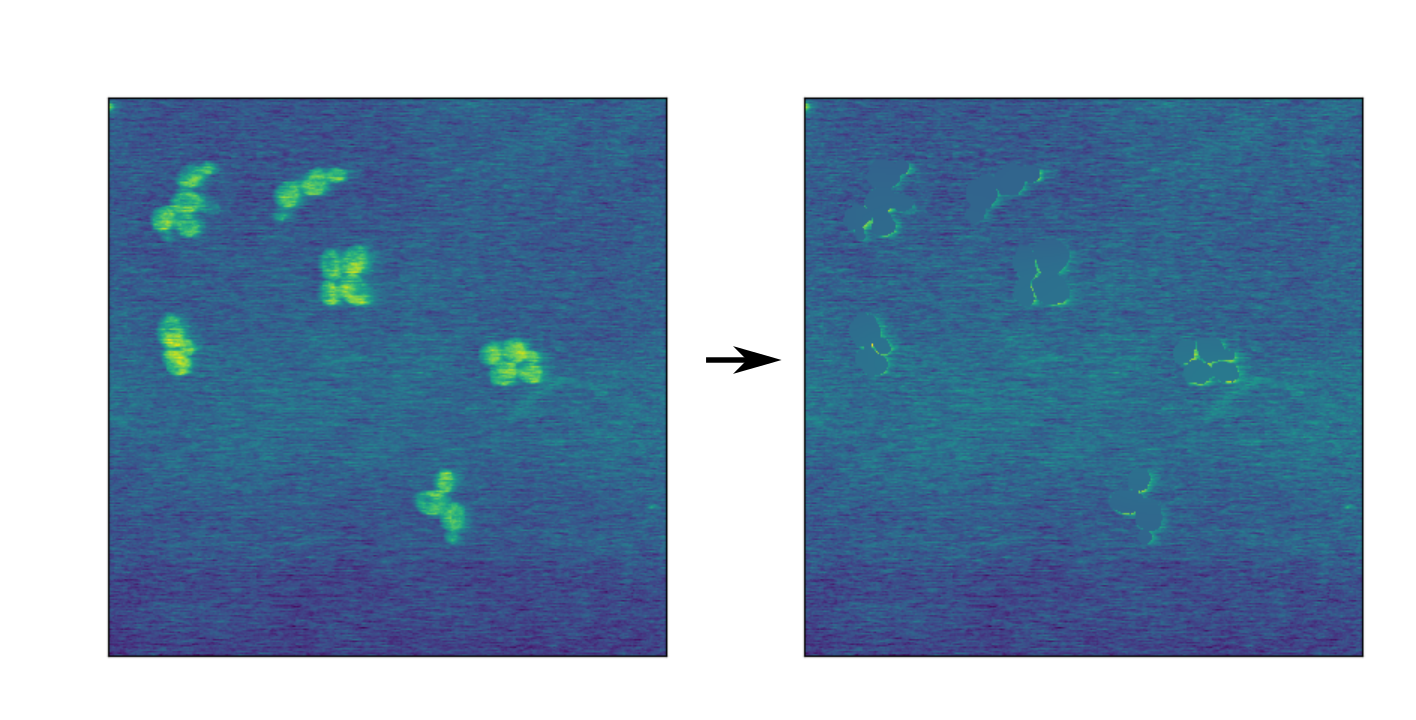 Masking cells with background estimates