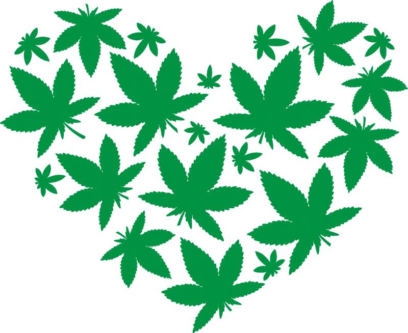 Heat transfers Iron on stickers Weeds 420 Cannabis happy plant 484 for Tshirts Iron on Decal Patches Stickers Clothes Hat Pillows DIY Crafts