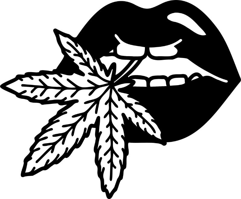 Heat transfers Iron on stickers Weeds 420 Cannabis happy plant 470 for Tshirts Iron on Decal Patches Stickers Clothes Hat Pillows DIY Crafts