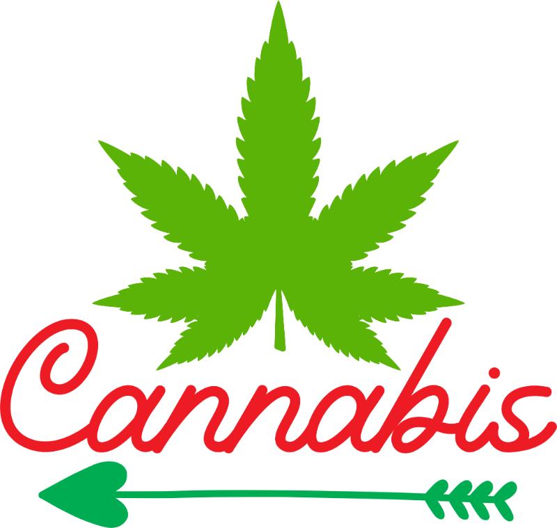 Heat transfers Iron on stickers Weeds 420 Cannabis happy plant 429 for Tshirts Iron on Decal Patches Stickers Clothes Hat Pillows DIY Crafts