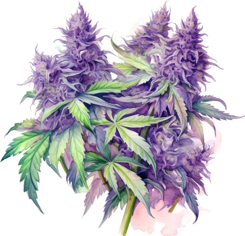 Heat transfers Iron on stickers Weeds 420 Cannabis happy plant 141 for Tshirts Iron on Decal Patches Stickers Clothes Hat Pillows DIY Crafts