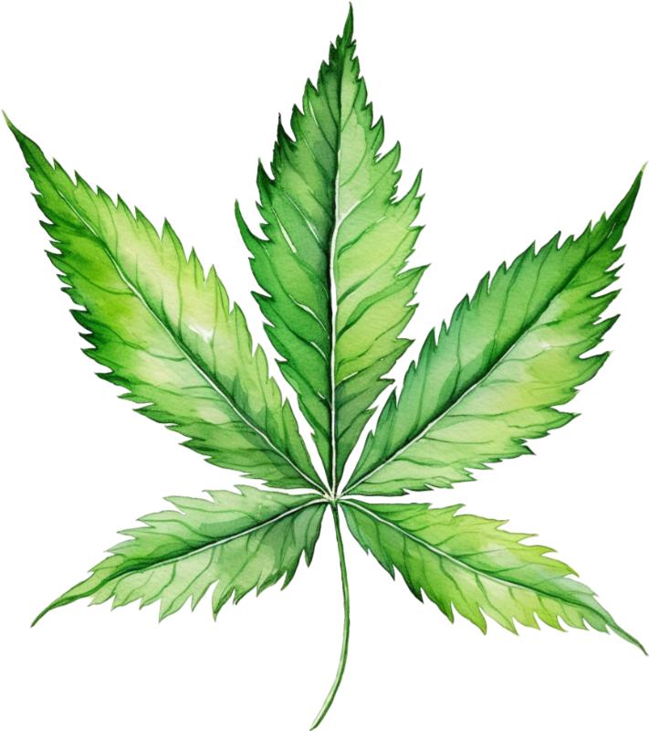 Heat transfers Iron on stickers Weeds 420 Cannabis happy plant 139 for Tshirts Iron on Decal Patches Stickers Clothes Hat Pillows DIY Crafts