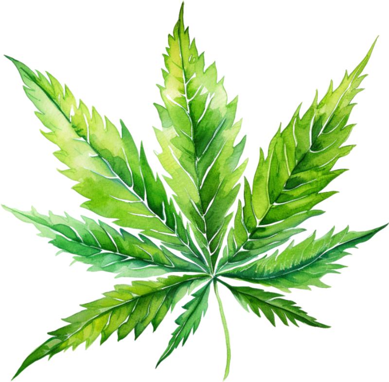 Heat transfers Iron on stickers Weeds 420 Cannabis happy plant 136 for Tshirts Iron on Decal Patches Stickers Clothes Hat Pillows DIY Crafts