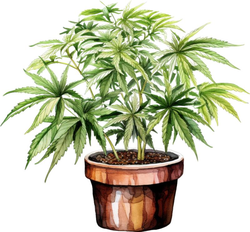 Heat transfers Iron on stickers Weeds 420 Cannabis happy plant 109 for Tshirts Iron on Decal Patches Stickers Clothes Hat Pillows DIY Crafts