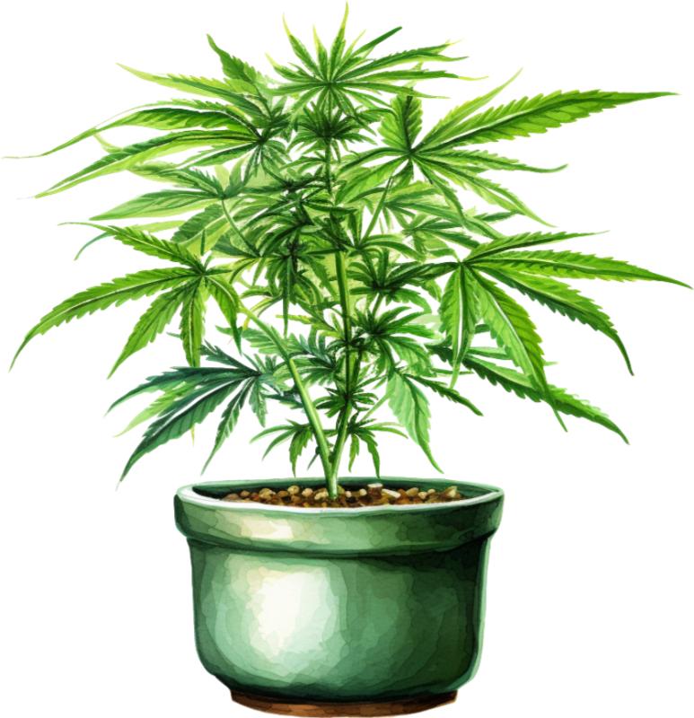 Heat transfers Iron on stickers Weeds 420 Cannabis happy plant 106 for Tshirts Iron on Decal Patches Stickers Clothes Hat Pillows DIY Crafts