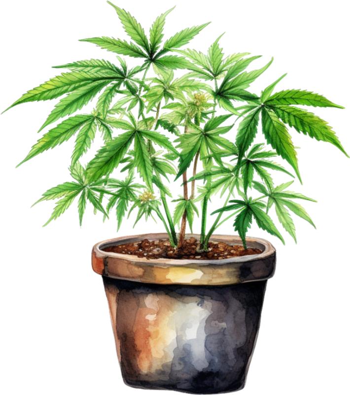 Heat transfers Iron on stickers Weeds 420 Cannabis happy plant 99 for Tshirts Iron on Decal Patches Stickers Clothes Hat Pillows DIY Crafts