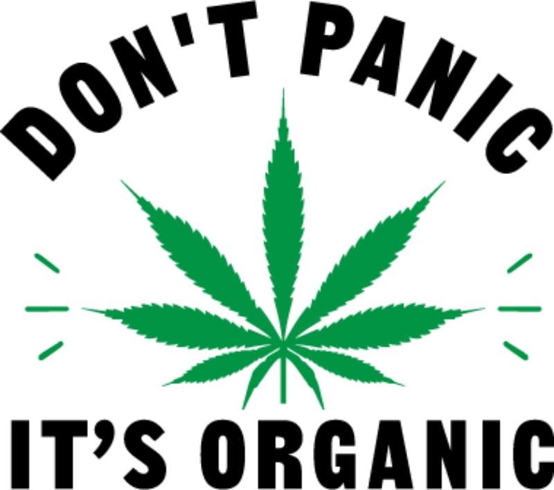 Heat transfers Iron on stickers Weeds 420 Cannabis happy plant 69 for Tshirts Iron on Decal Patches Stickers Clothes Hat Pillows DIY Crafts