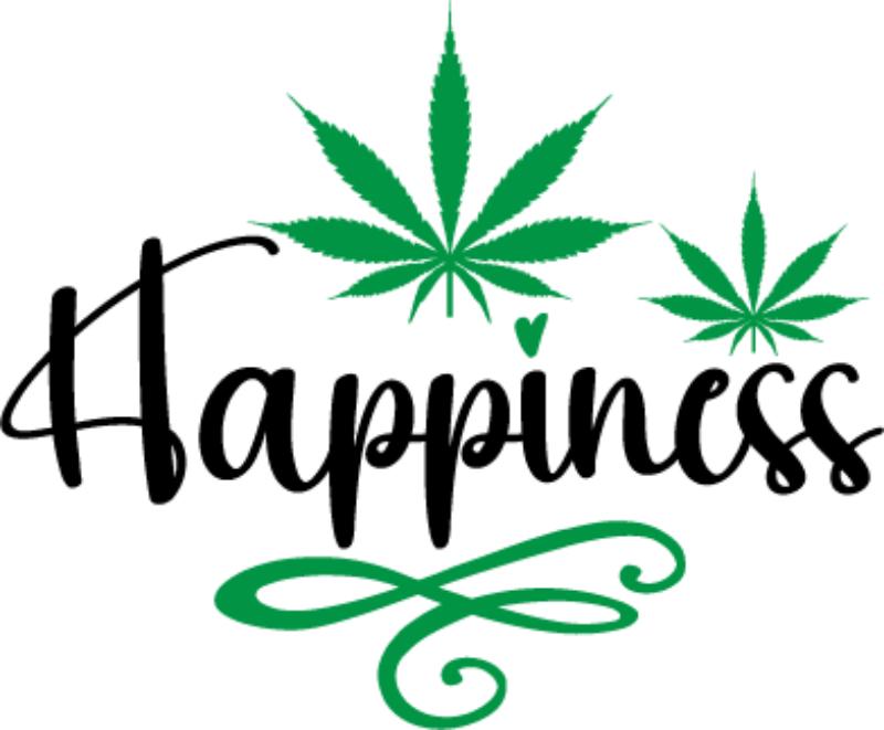 Heat transfers Iron on stickers Weeds 420 Cannabis happy plant 68 for Tshirts Iron on Decal Patches Stickers Clothes Hat Pillows DIY Crafts