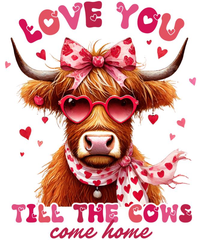 Heat transfers Iron on stickers  Valentine`s Day Valentine lover 407 for Tshirts Iron on Decal Patches Stickers Clothes Hat Pillows DIY Crafts