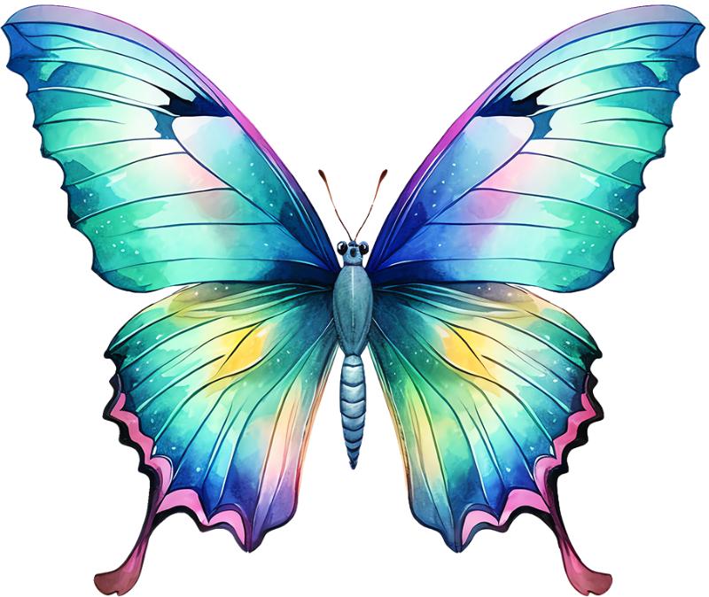 Heat transfers Iron on stickers  sea turtle 48 for Tshirts Iron on Decal Patches Stickers Clothes Hat Pillows DIY Crafts