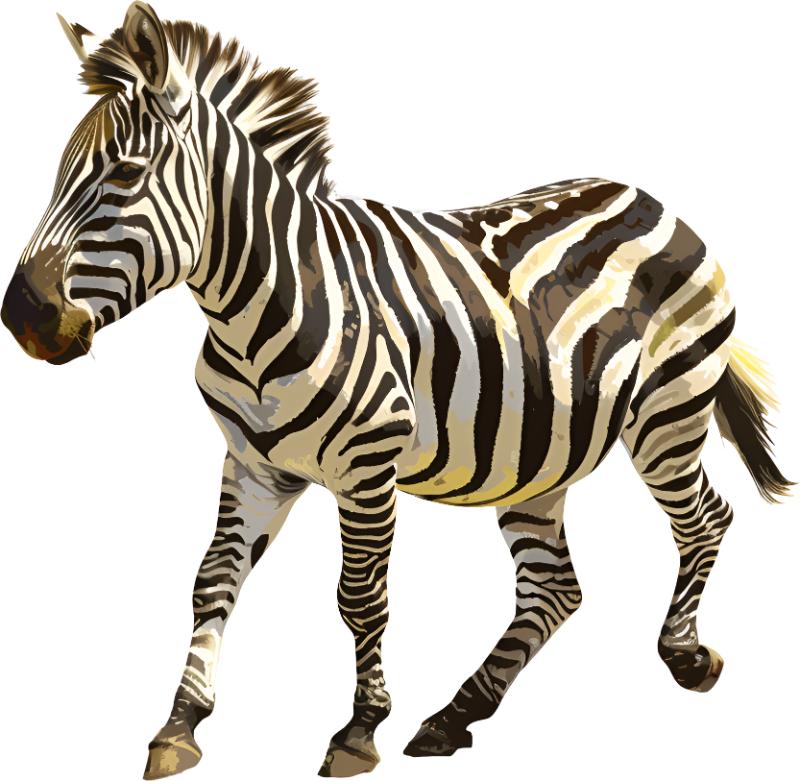 UV DTF decal Stickers cup wraps small decals highland cow 5 for Cup, glass, mugs, phone case, car decals, DIY stickers UV DTF Transfer stickers wraps DIY Crafts