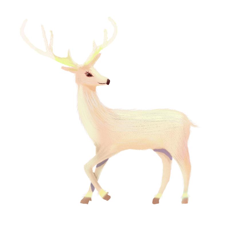 Heat transfers Iron on stickers  highland cow 205 for Tshirts Iron on Decal Patches Stickers Clothes Hat Pillows DIY Crafts