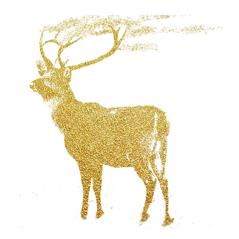 Heat transfers Iron on stickers  highland cow 204 for Tshirts Iron on Decal Patches Stickers Clothes Hat Pillows DIY Crafts