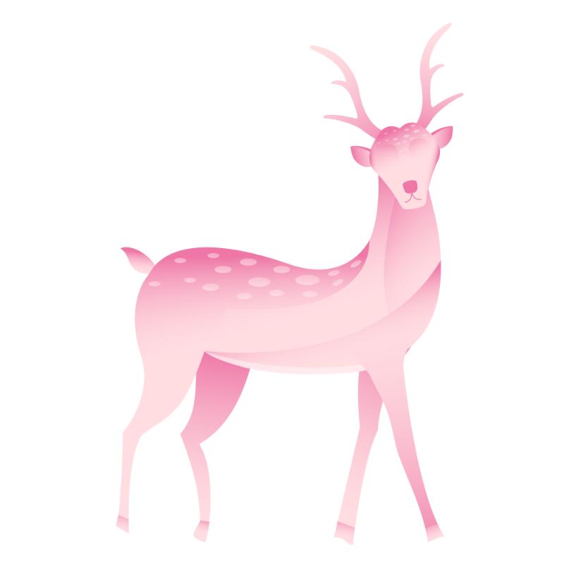 Heat transfers Iron on stickers  highland cow 200 for Tshirts Iron on Decal Patches Stickers Clothes Hat Pillows DIY Crafts