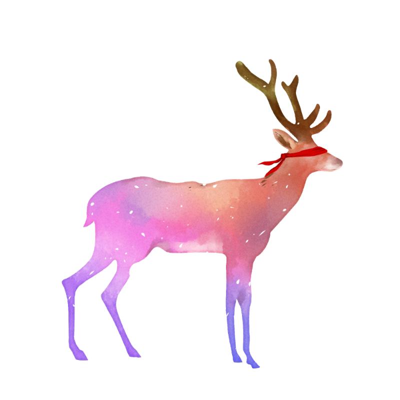 Heat transfers Iron on stickers  highland cow 2 for Tshirts Iron on Decal Patches Stickers Clothes Hat Pillows DIY Crafts