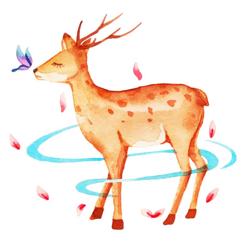 Heat transfers Iron on stickers  highland cow 199 for Tshirts Iron on Decal Patches Stickers Clothes Hat Pillows DIY Crafts