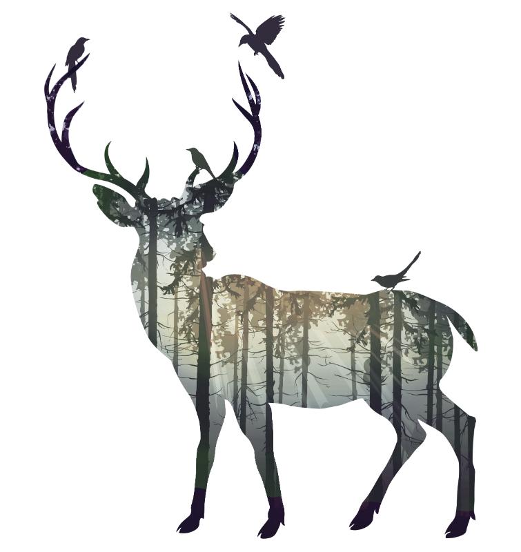 Heat transfers Iron on stickers  highland cow 197 for Tshirts Iron on Decal Patches Stickers Clothes Hat Pillows DIY Crafts