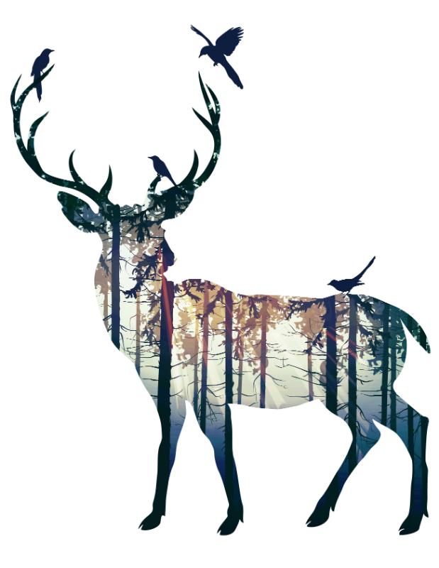 Heat transfers Iron on stickers  highland cow 195 for Tshirts Iron on Decal Patches Stickers Clothes Hat Pillows DIY Crafts