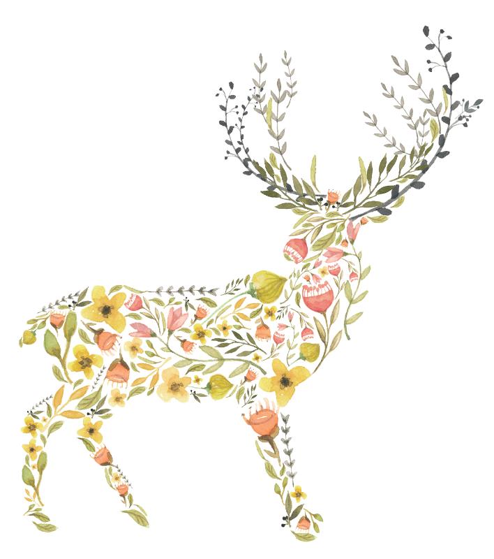 Heat transfers Iron on stickers  highland cow 188 for Tshirts Iron on Decal Patches Stickers Clothes Hat Pillows DIY Crafts