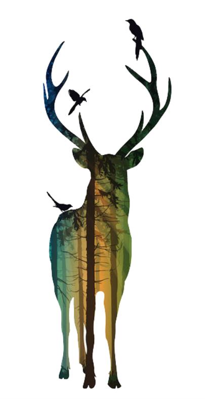 Heat transfers Iron on stickers  highland cow 187 for Tshirts Iron on Decal Patches Stickers Clothes Hat Pillows DIY Crafts