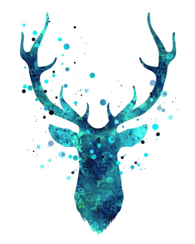 Heat transfers Iron on stickers  highland cow 184 for Tshirts Iron on Decal Patches Stickers Clothes Hat Pillows DIY Crafts