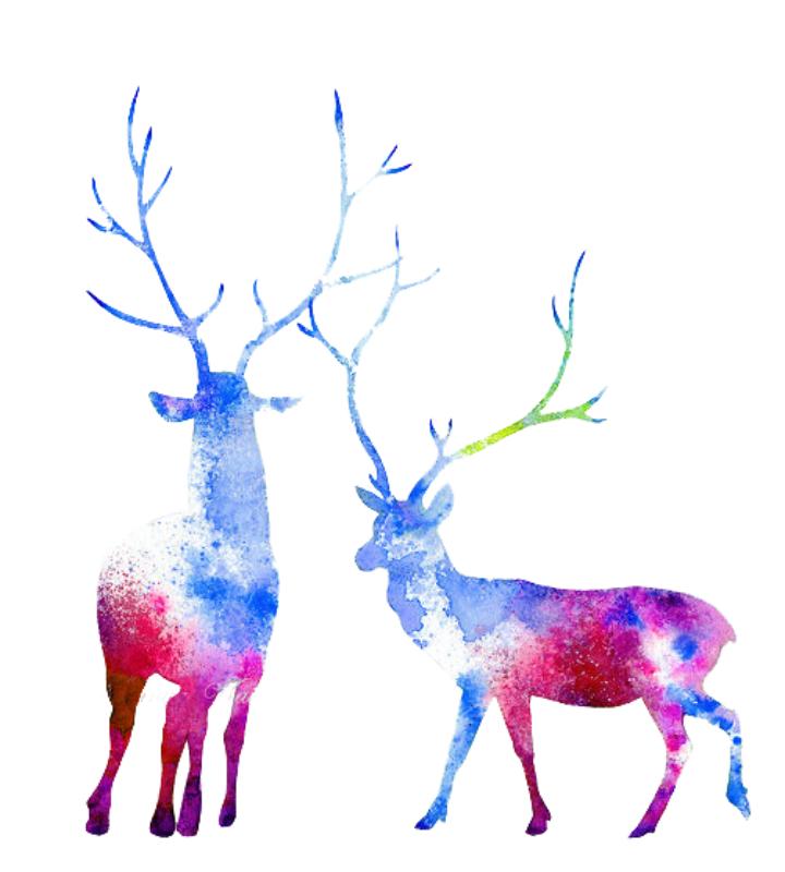 Heat transfers Iron on stickers  highland cow 183 for Tshirts Iron on Decal Patches Stickers Clothes Hat Pillows DIY Crafts