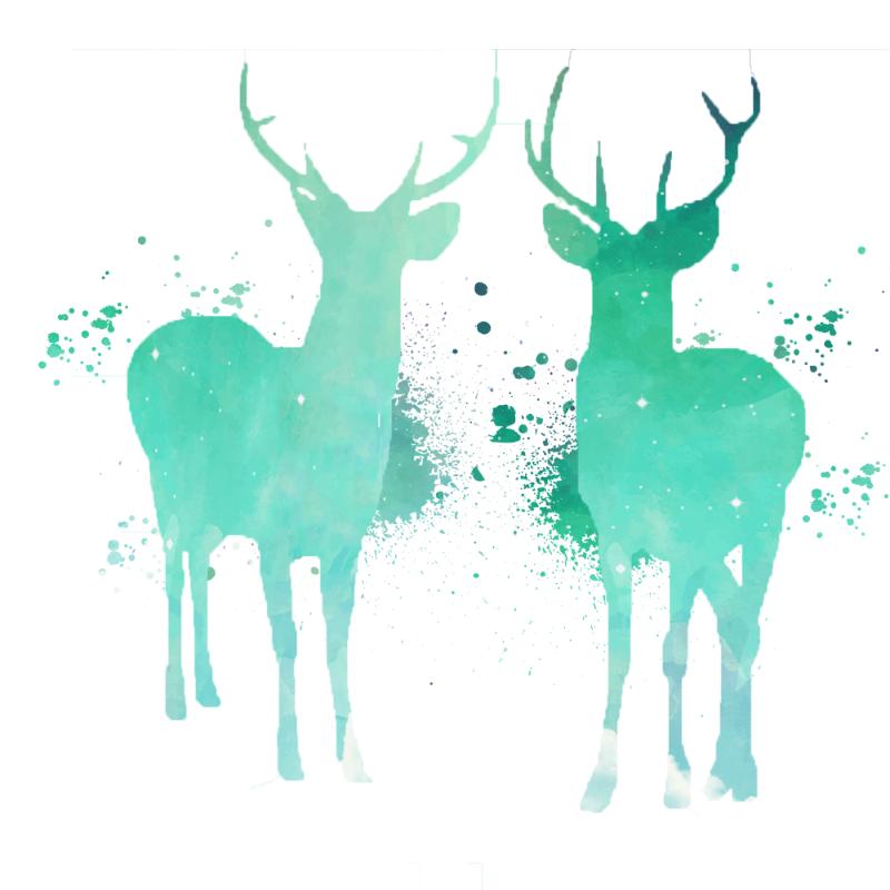 Heat transfers Iron on stickers  highland cow 178 for Tshirts Iron on Decal Patches Stickers Clothes Hat Pillows DIY Crafts