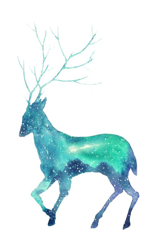 Heat transfers Iron on stickers  highland cow 169 for Tshirts Iron on Decal Patches Stickers Clothes Hat Pillows DIY Crafts