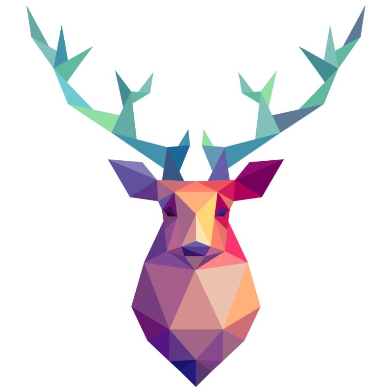 Heat transfers Iron on stickers  highland cow 159 for Tshirts Iron on Decal Patches Stickers Clothes Hat Pillows DIY Crafts