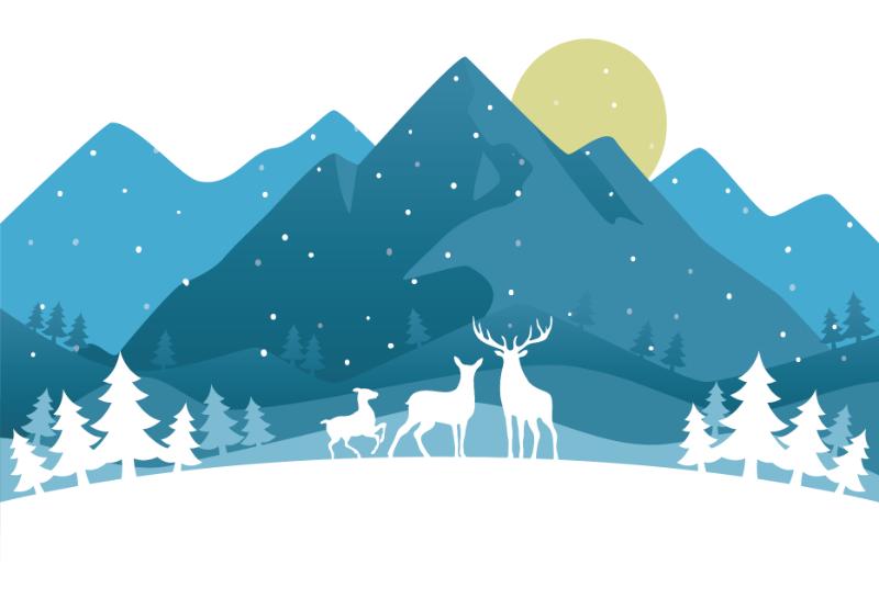 Heat transfers Iron on stickers  highland cow 152 for Tshirts Iron on Decal Patches Stickers Clothes Hat Pillows DIY Crafts