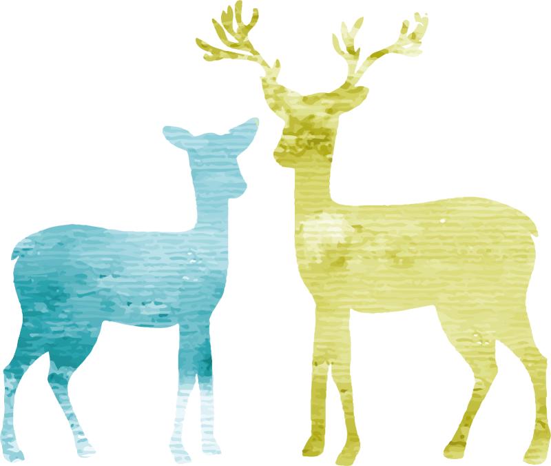 Heat transfers Iron on stickers  highland cow 151 for Tshirts Iron on Decal Patches Stickers Clothes Hat Pillows DIY Crafts