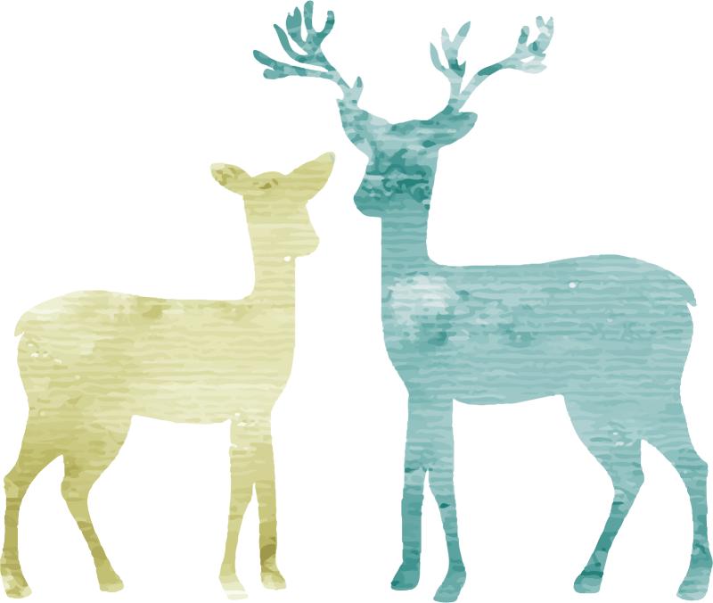 Heat transfers Iron on stickers  highland cow 150 for Tshirts Iron on Decal Patches Stickers Clothes Hat Pillows DIY Crafts