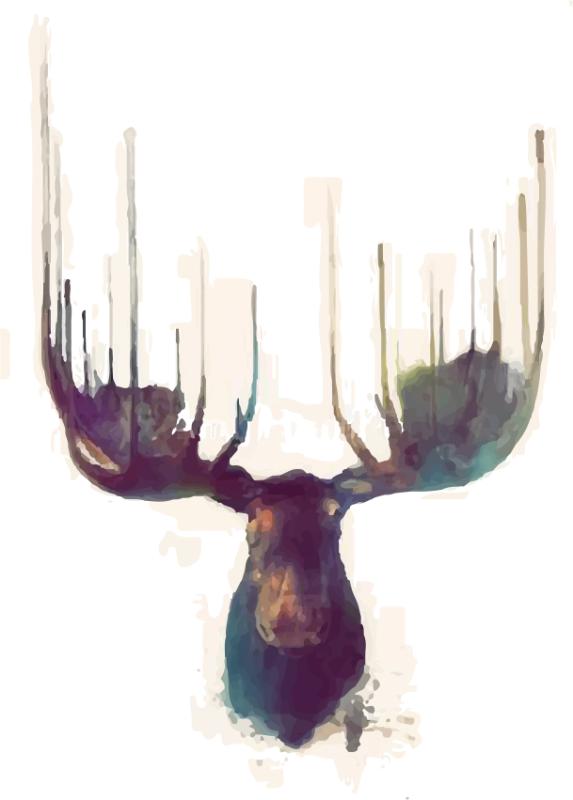 Heat transfers Iron on stickers  highland cow 147 for Tshirts Iron on Decal Patches Stickers Clothes Hat Pillows DIY Crafts