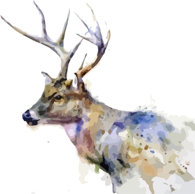 Heat transfers Iron on stickers  highland cow 146 for Tshirts Iron on Decal Patches Stickers Clothes Hat Pillows DIY Crafts